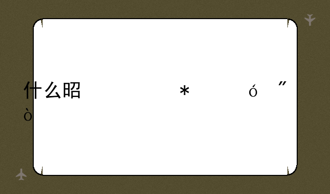 什么是移动导航？