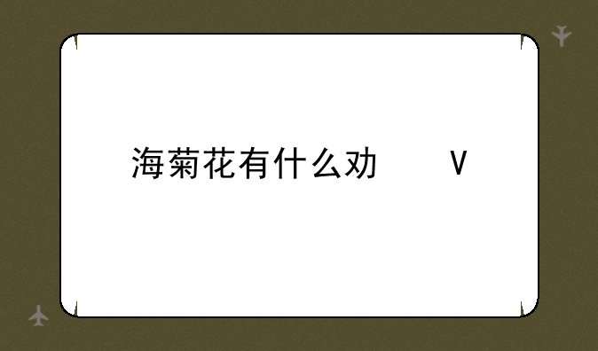 海菊花有什么功效