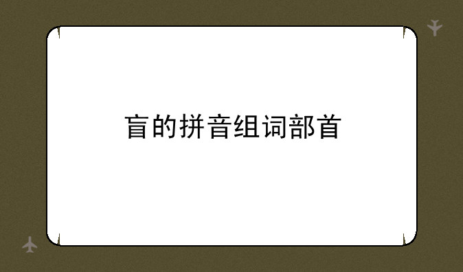 盲的拼音组词部首