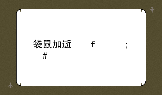 袋鼠加速器怎么样