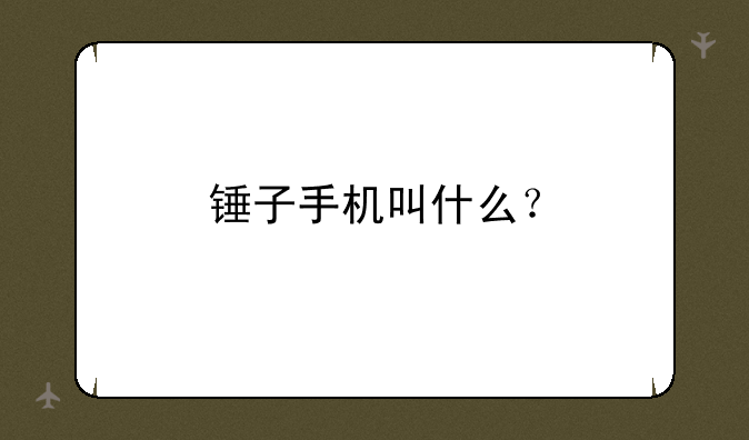 锤子手机叫什么？