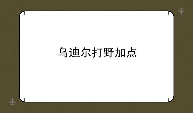 乌迪尔打野加点