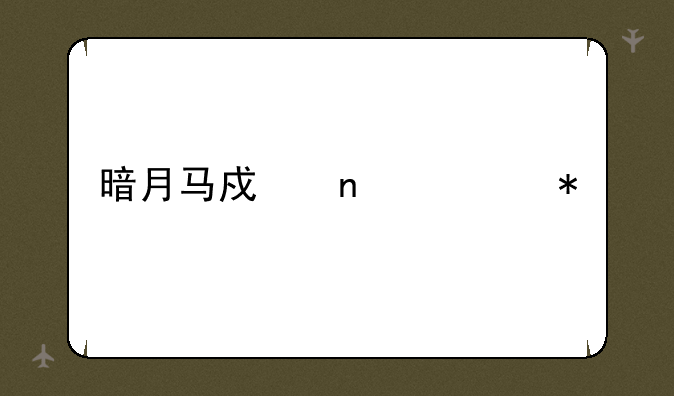 暗月马戏团任务