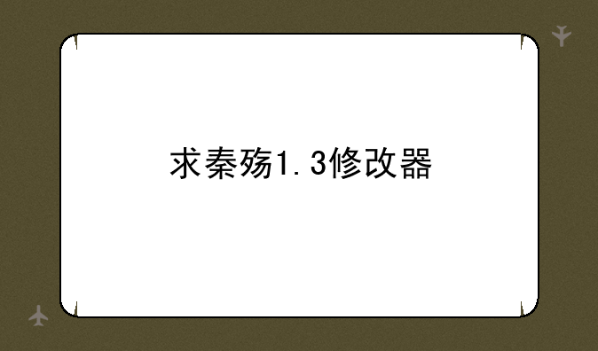 求秦殇1.3修改器