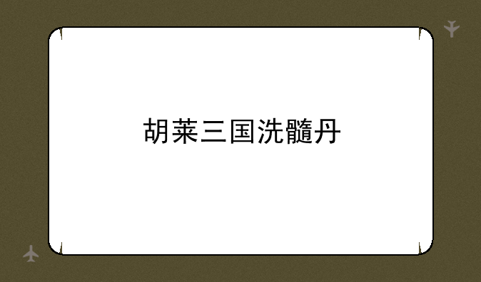 胡莱三国洗髓丹