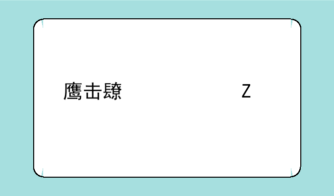 鹰击长空中文版