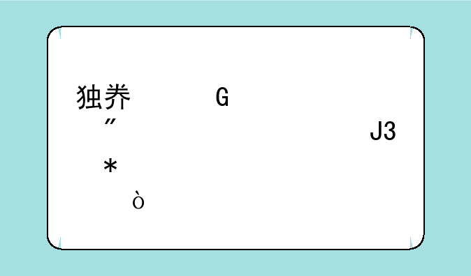 独奏骑士血爆流出装和加点？