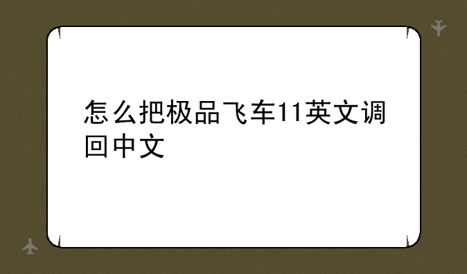 怎么把极品飞车11英文调回中文
