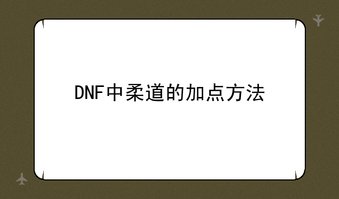 DNF中柔道的加点方法
