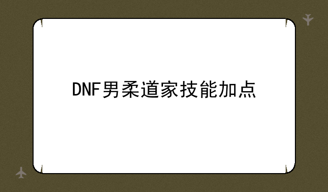 DNF男柔道家技能加点