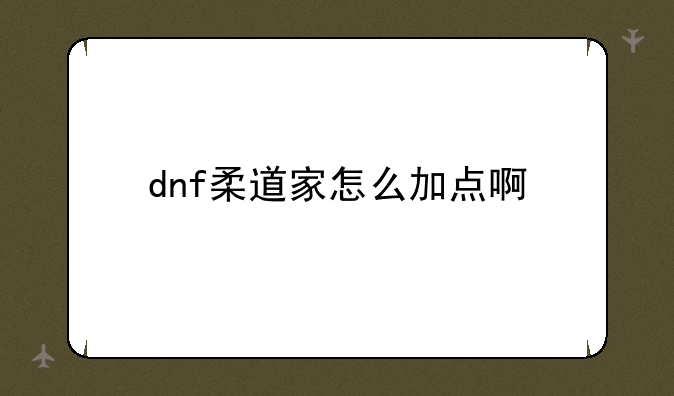 dnf柔道家怎么加点啊