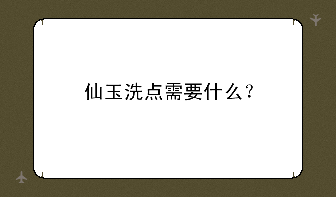 仙玉洗点需要什么？