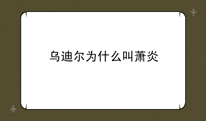 乌迪尔为什么叫萧炎