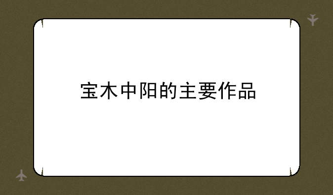 宝木中阳的主要作品