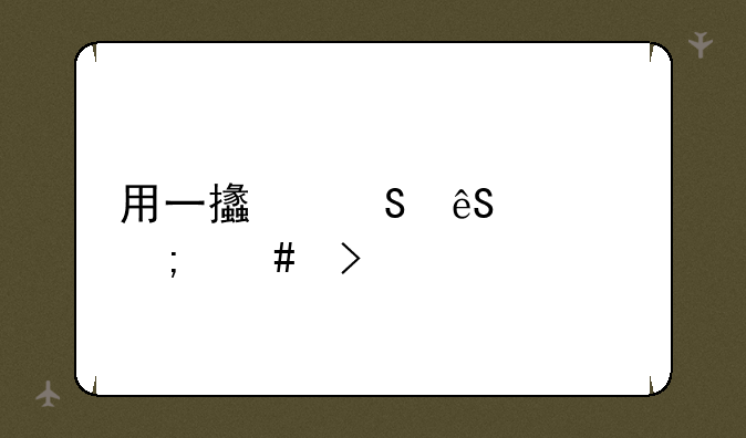用一支笔应该怎么插