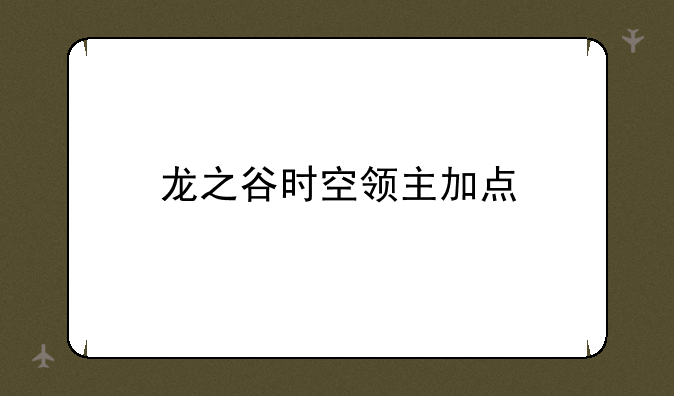 龙之谷时空领主加点