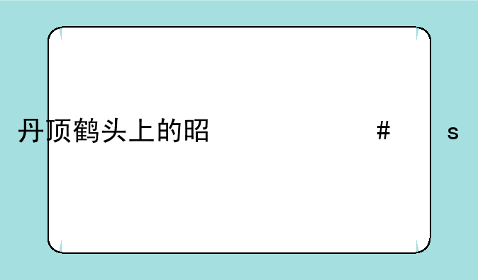 丹顶鹤头上的是什么东西