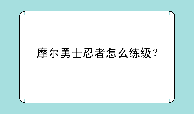 摩尔勇士忍者怎么练级？