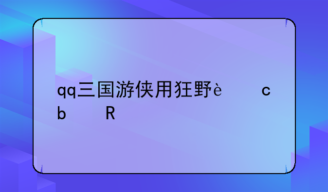 qq三国游侠用狂野还是攻击