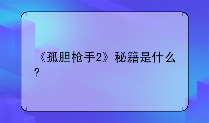 《孤胆枪手2》秘籍是什么?