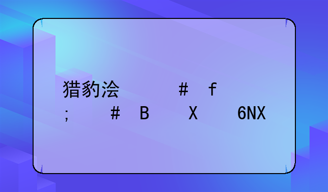 猎豹浏览器怎么启动3d加速