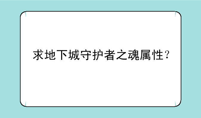 求地下城守护者之魂属性？
