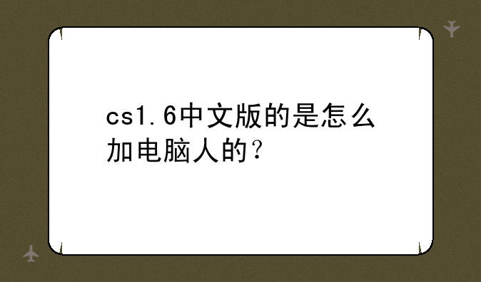 cs1.6中文版的是怎么加电脑人的？