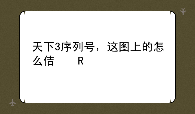 天下3序列号，这图上的怎么使用?