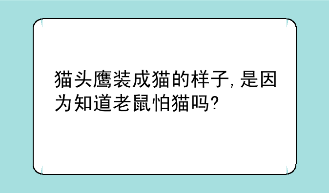 猫头鹰装成猫的样子,是因为知道老鼠怕猫吗?