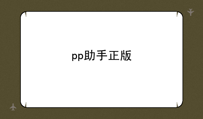pp助手正版