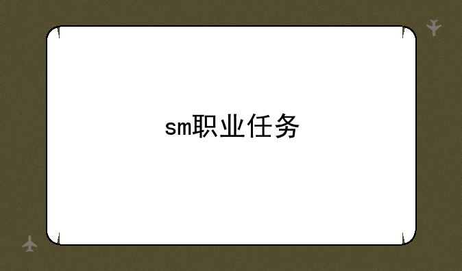 sm职业任务