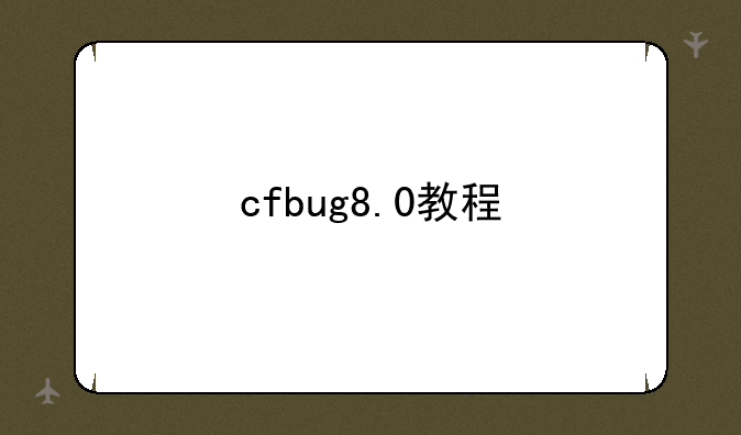 cfbug8.0教程