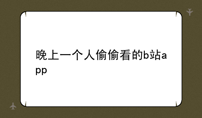 晚上一个人偷偷看的b站app