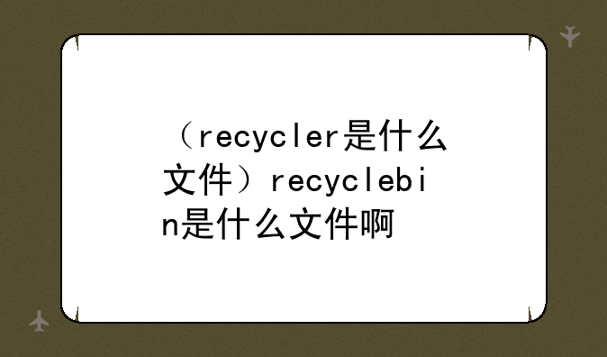 （recycler是什么文件）recyclebin是什么文件啊