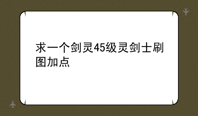求一个剑灵45级灵剑士刷图加点
