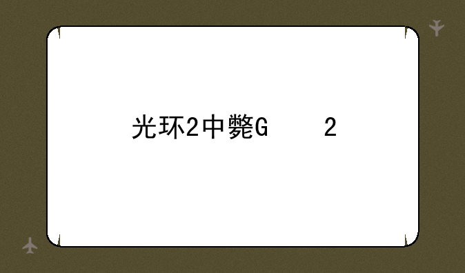 光环2中文版